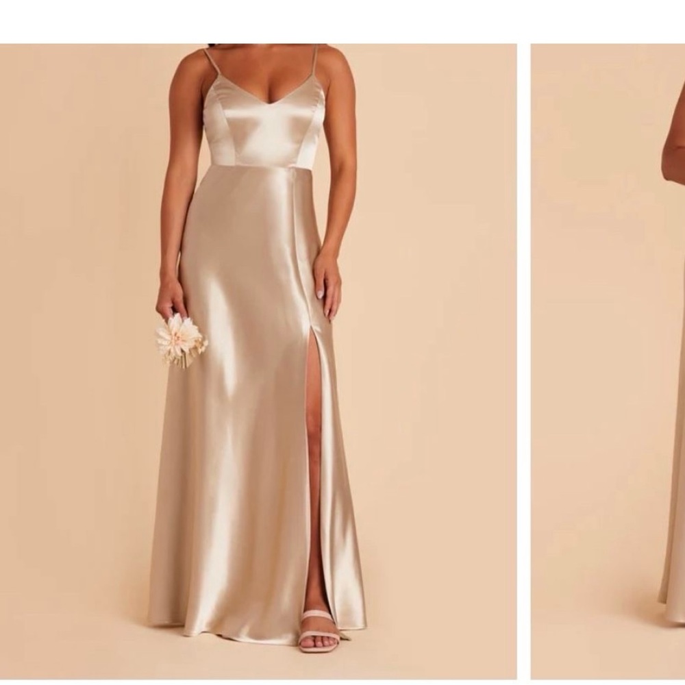 Birdy Grey Neutral Champagne Dress